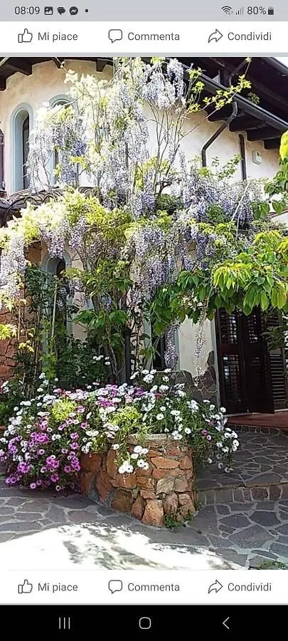 Bed and Breakfast Monti E Mare Lanusei