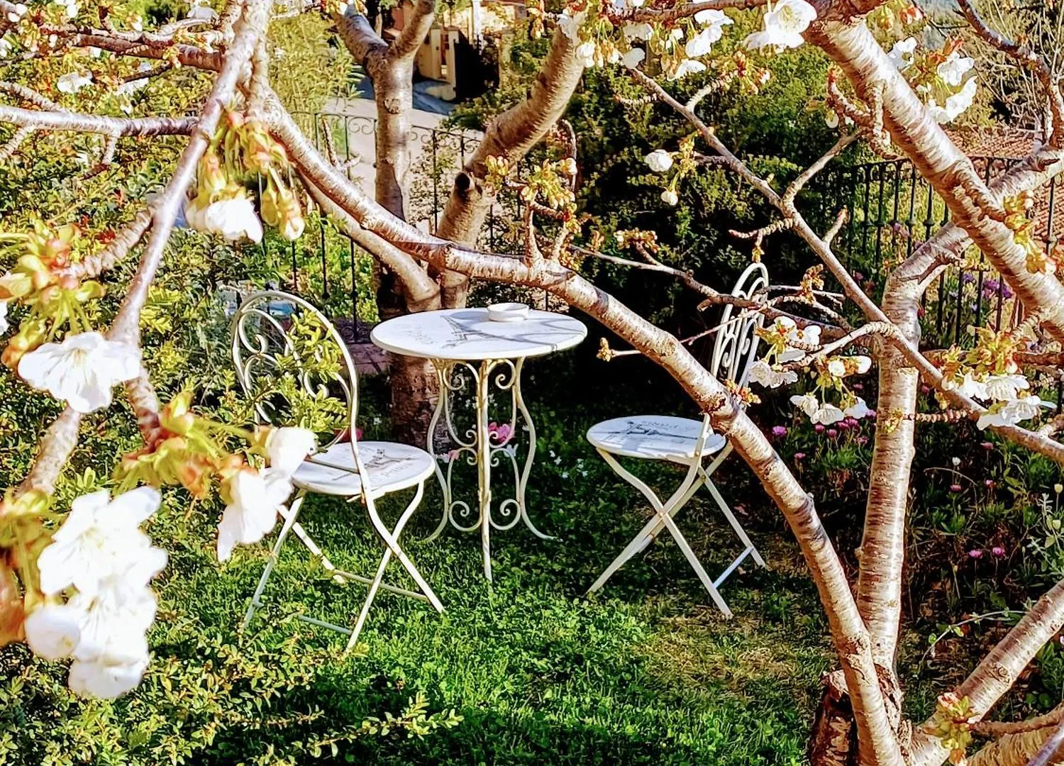 Bed and Breakfast Monti E Mare Ланузеи Италия