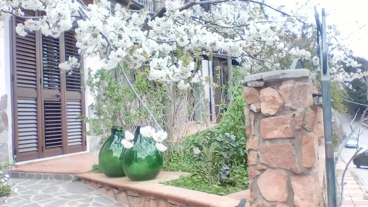 Bed and Breakfast Monti E Mare Lanusei